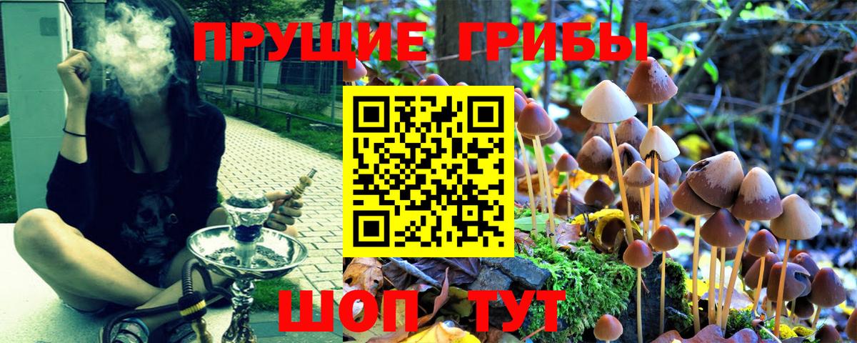 Псилоцибиновые грибы Magic Shrooms Лангепас